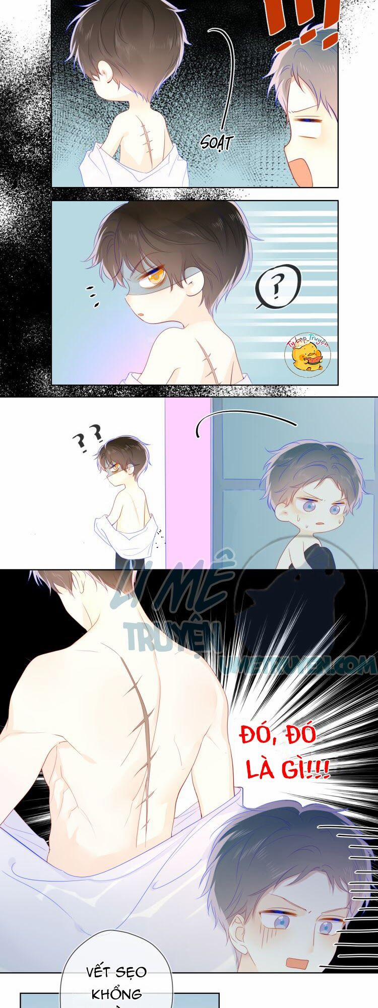 Ngôi Sao Cho Tôi 20 trang 8