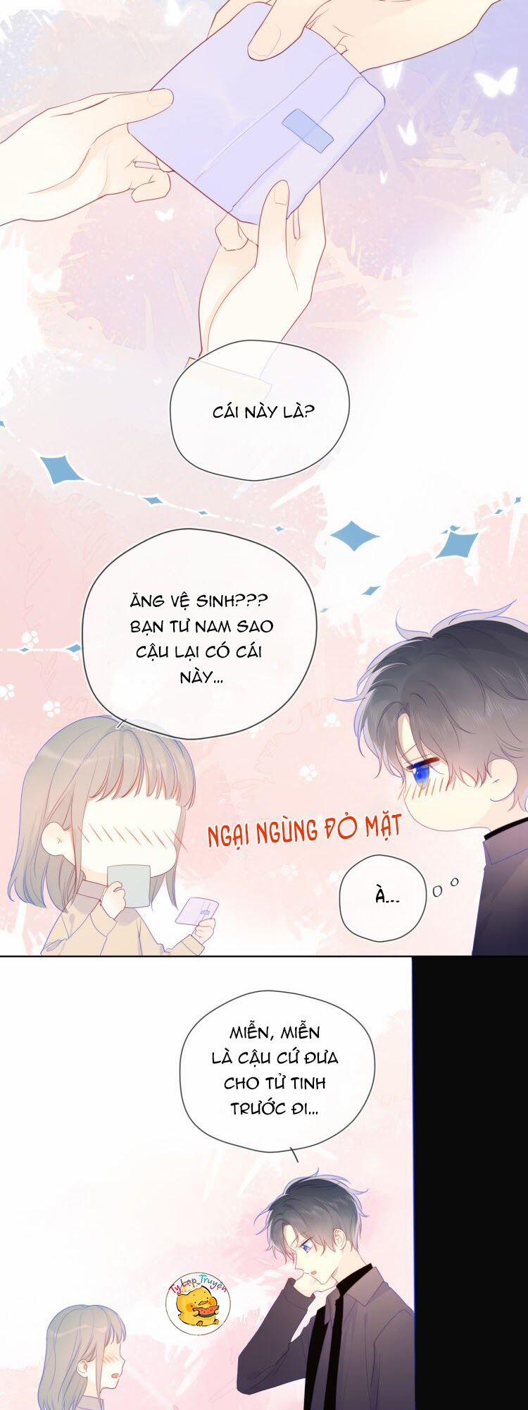 Ngôi Sao Cho Tôi 22 trang 8