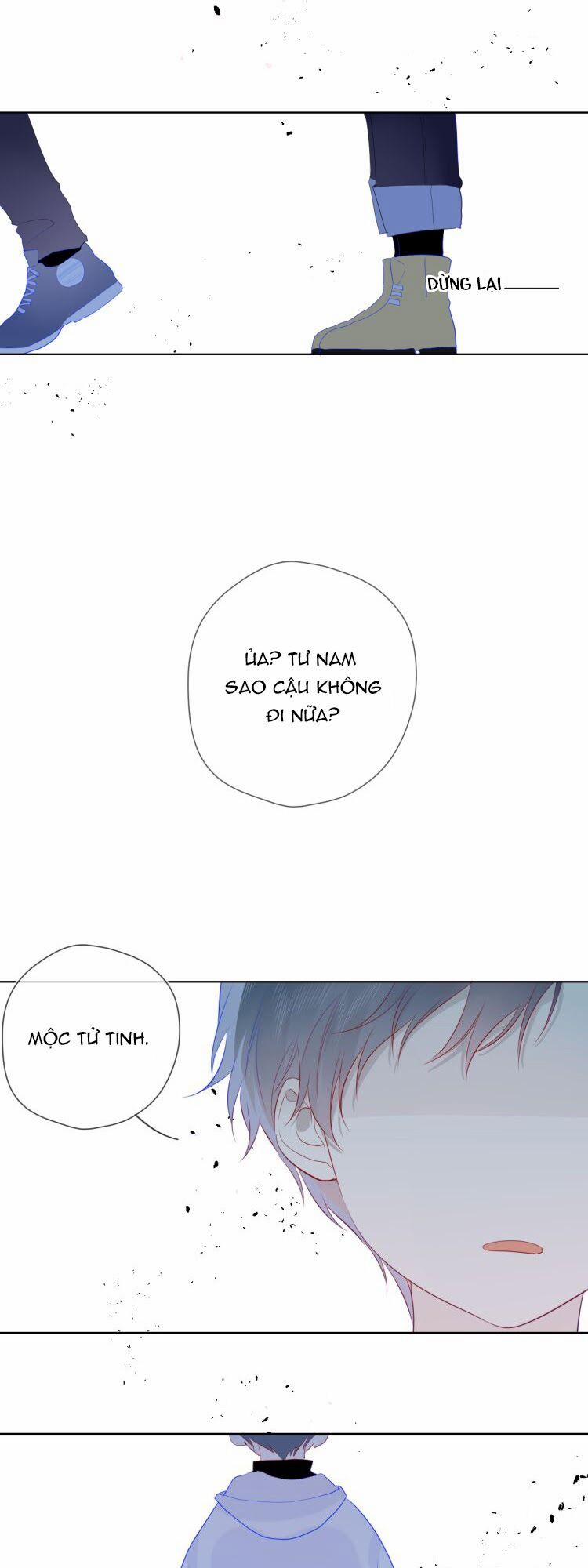 Ngôi Sao Cho Tôi 24 trang 15