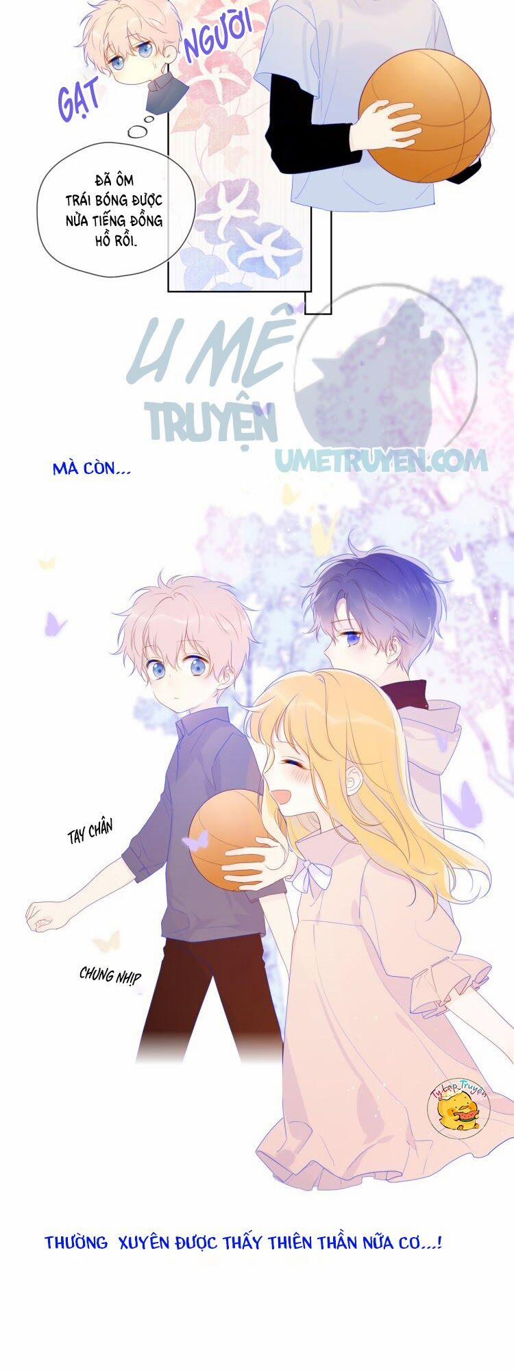 Ngôi Sao Cho Tôi 24 trang 3