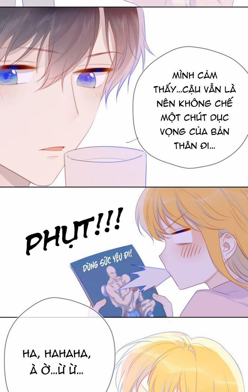 Ngôi Sao Cho Tôi 25 trang 14