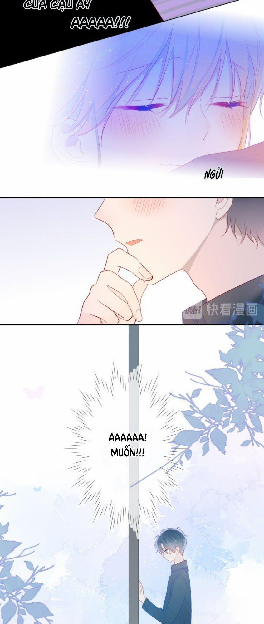 Ngôi Sao Cho Tôi 25 trang 18