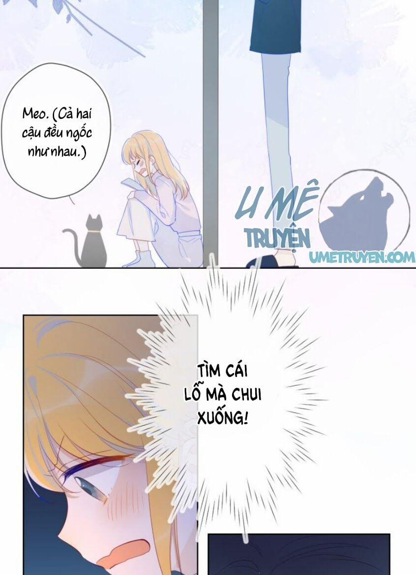 Ngôi Sao Cho Tôi 25 trang 19