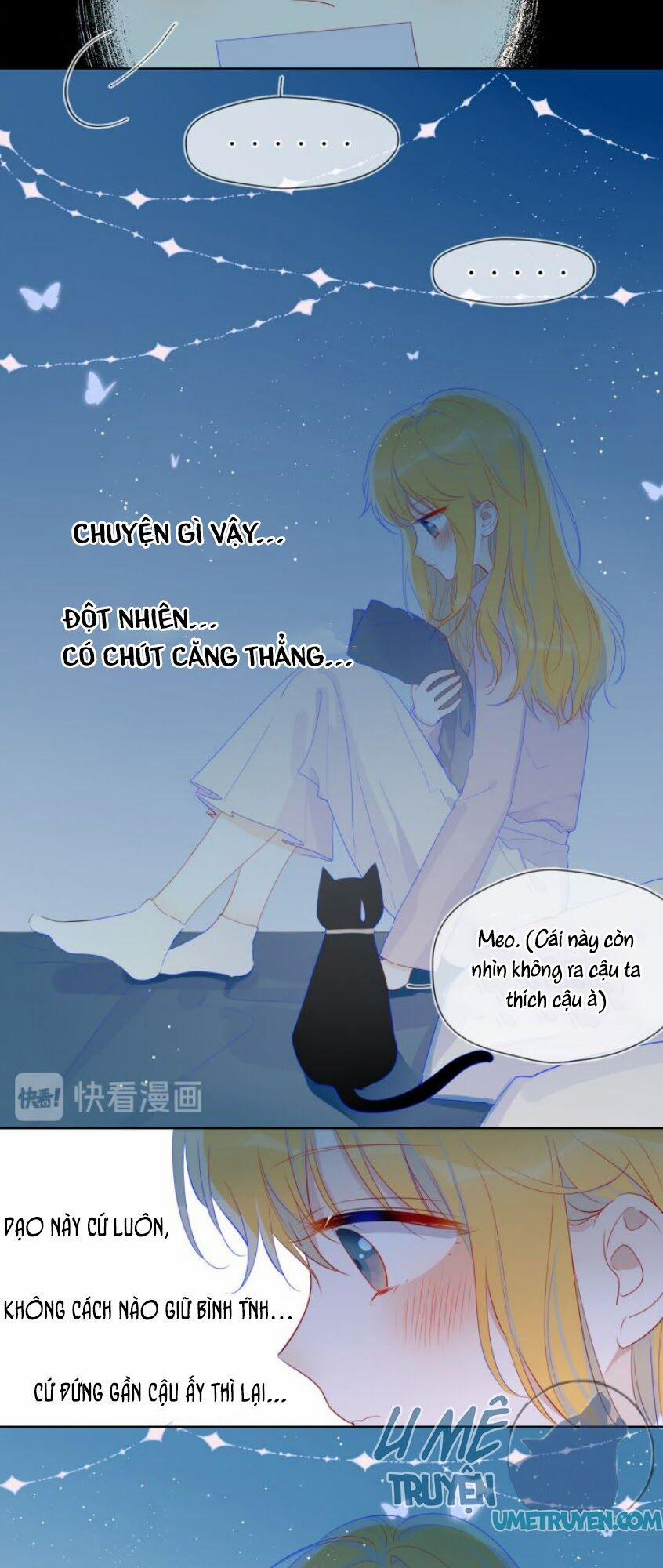 Ngôi Sao Cho Tôi 25 trang 8