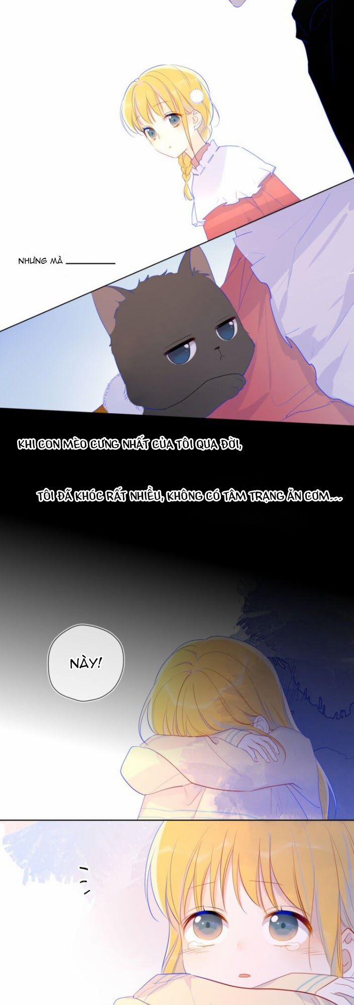 Ngôi Sao Cho Tôi 27 trang 13