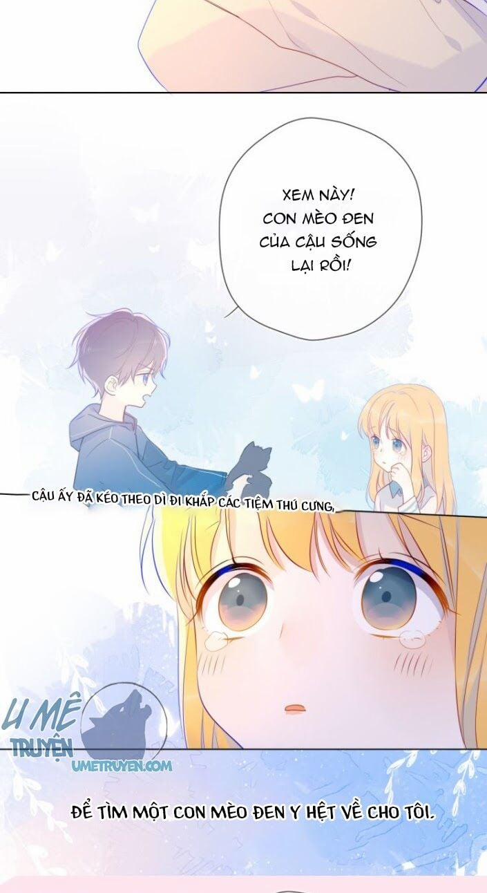 Ngôi Sao Cho Tôi 27 trang 14