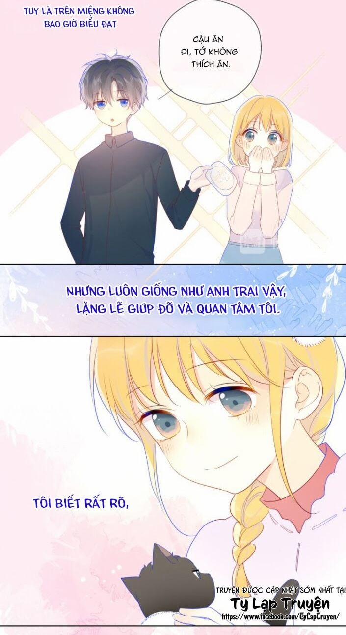 Ngôi Sao Cho Tôi 27 trang 15