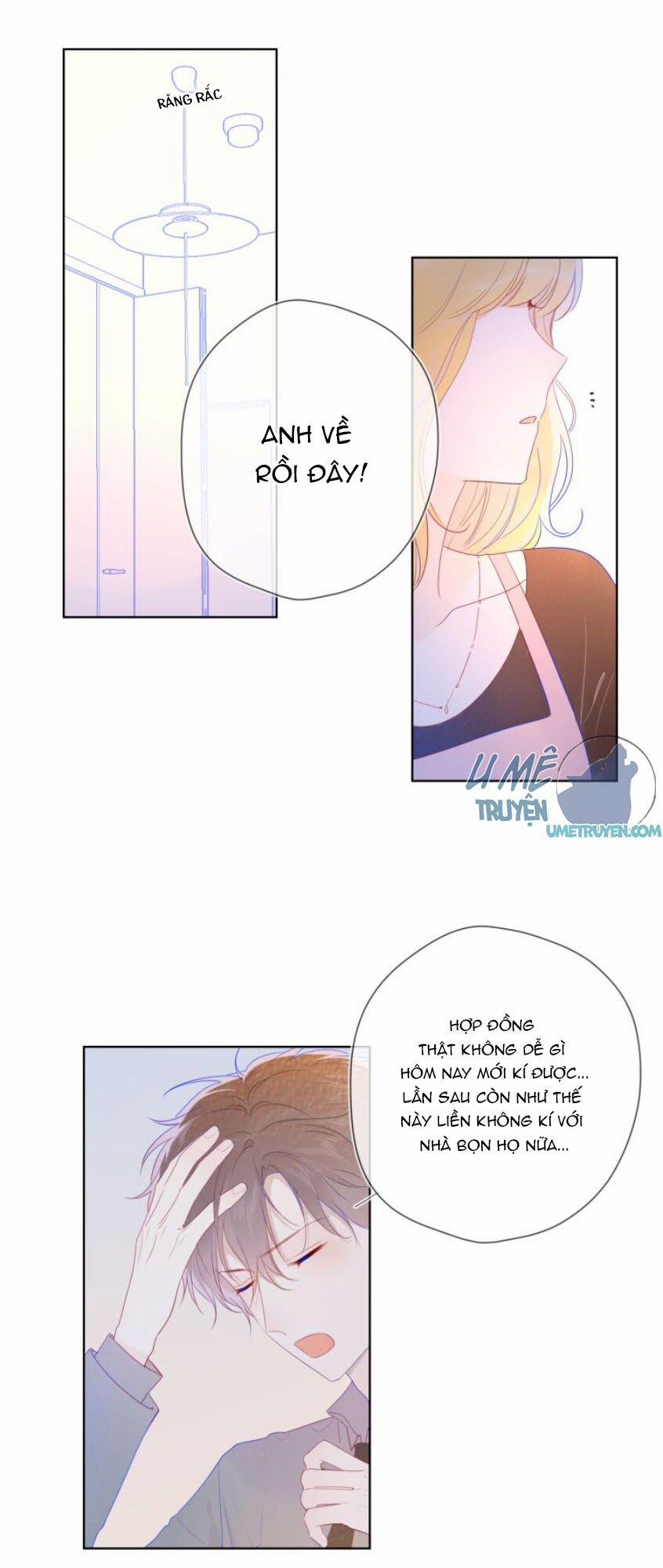 Ngôi Sao Cho Tôi 28 trang 17