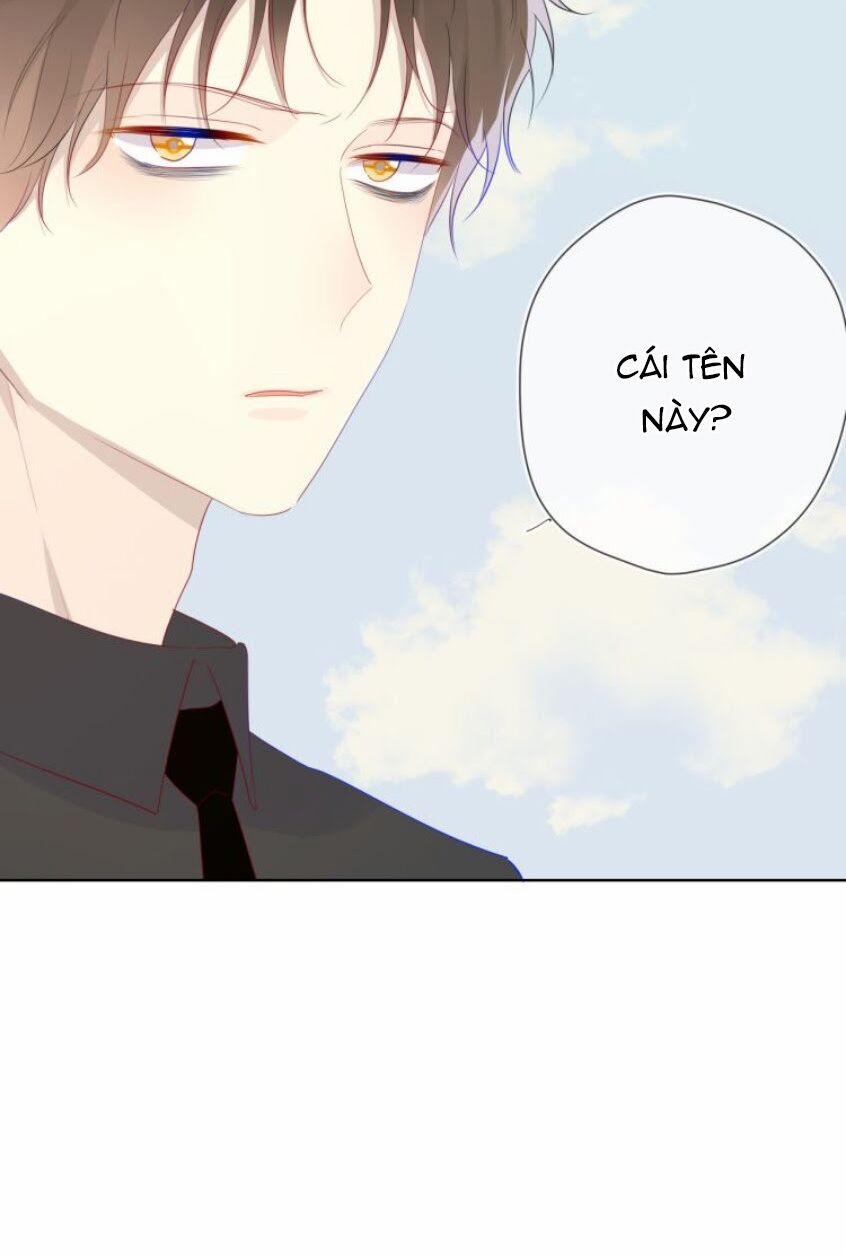 Ngôi Sao Cho Tôi 28 trang 8