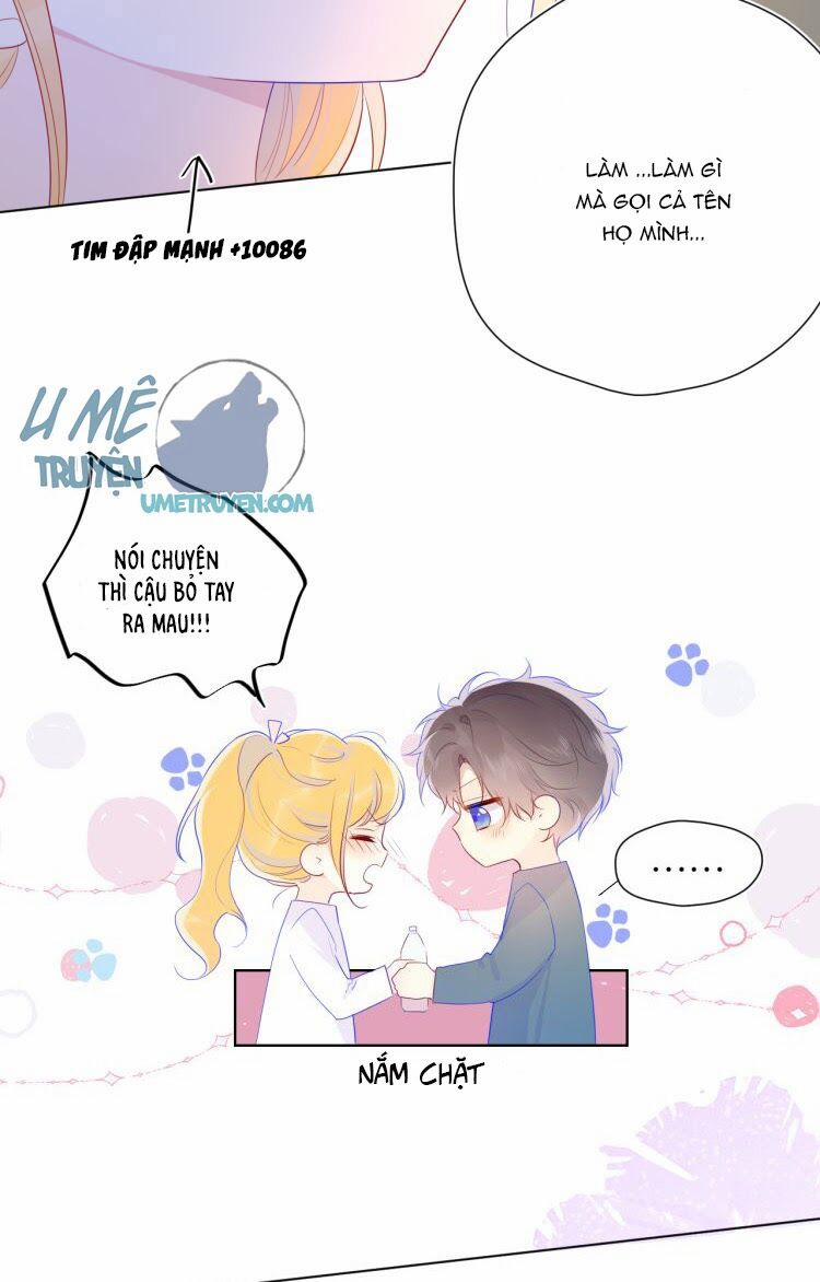 Ngôi Sao Cho Tôi 29 trang 16