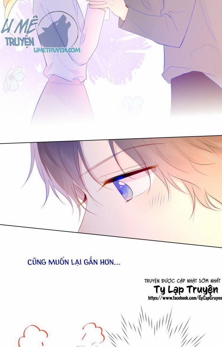 Ngôi Sao Cho Tôi 29 trang 19