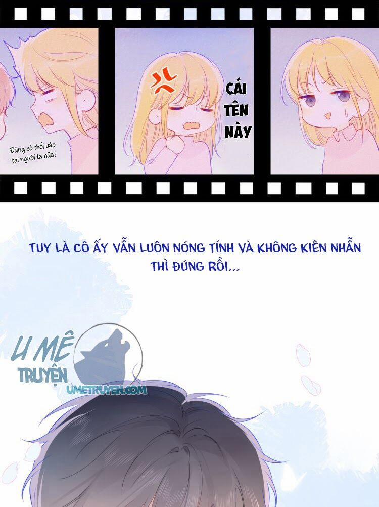 Ngôi Sao Cho Tôi 29 trang 7