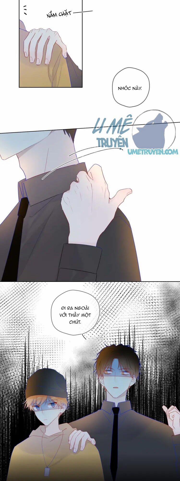 Ngôi Sao Cho Tôi 30 trang 11