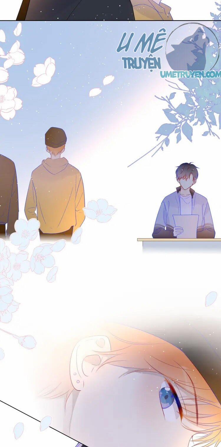 Ngôi Sao Cho Tôi 30 trang 13