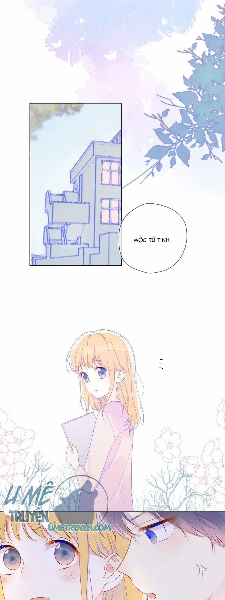 Ngôi Sao Cho Tôi 30 trang 16