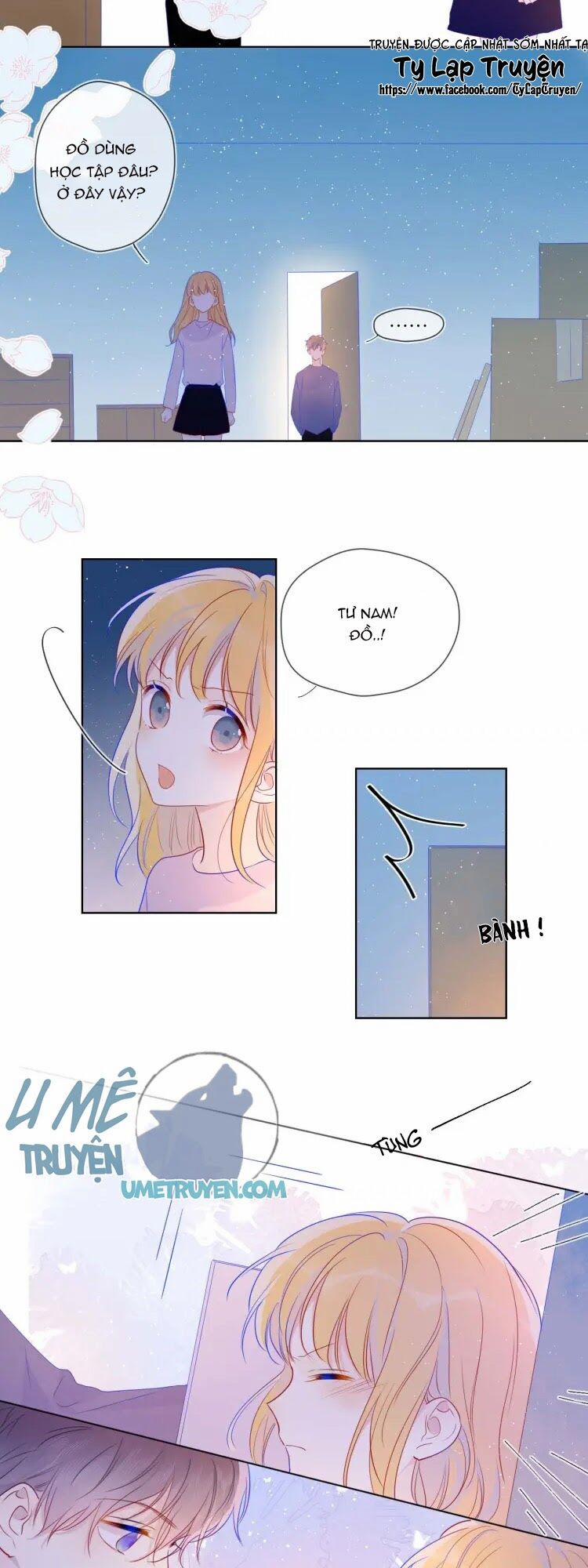 Ngôi Sao Cho Tôi 31 trang 19