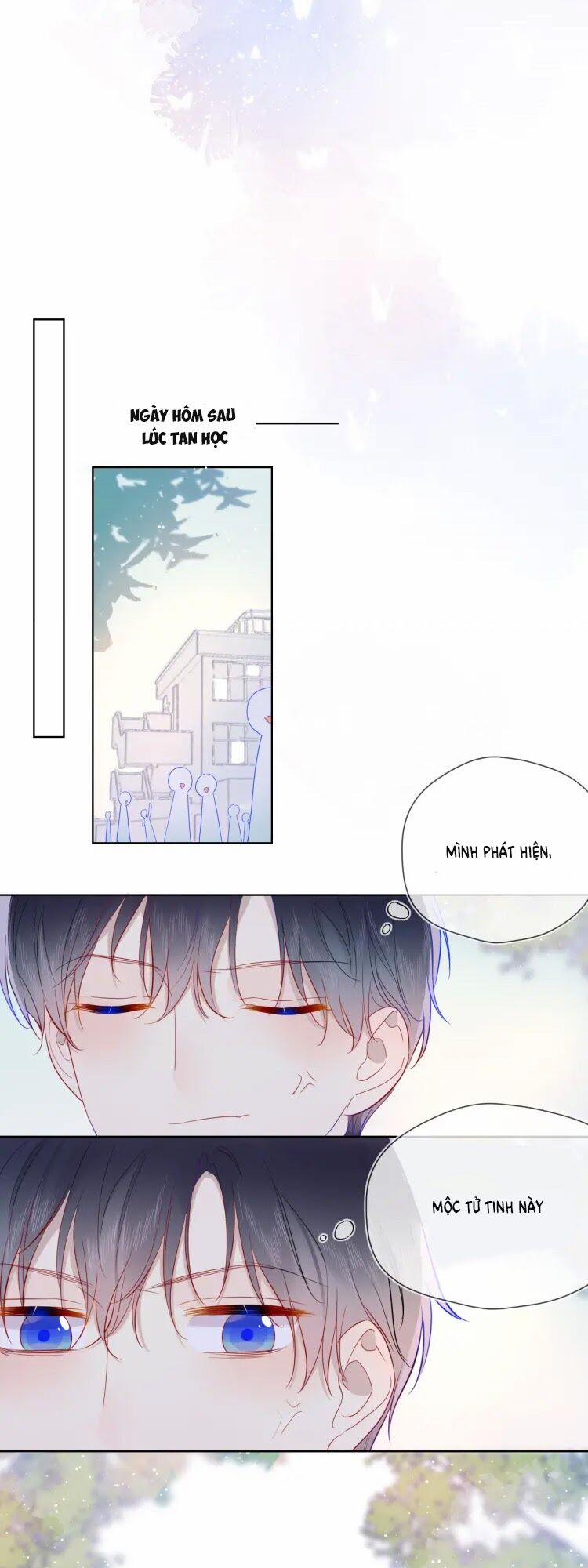 Ngôi Sao Cho Tôi 33 trang 18