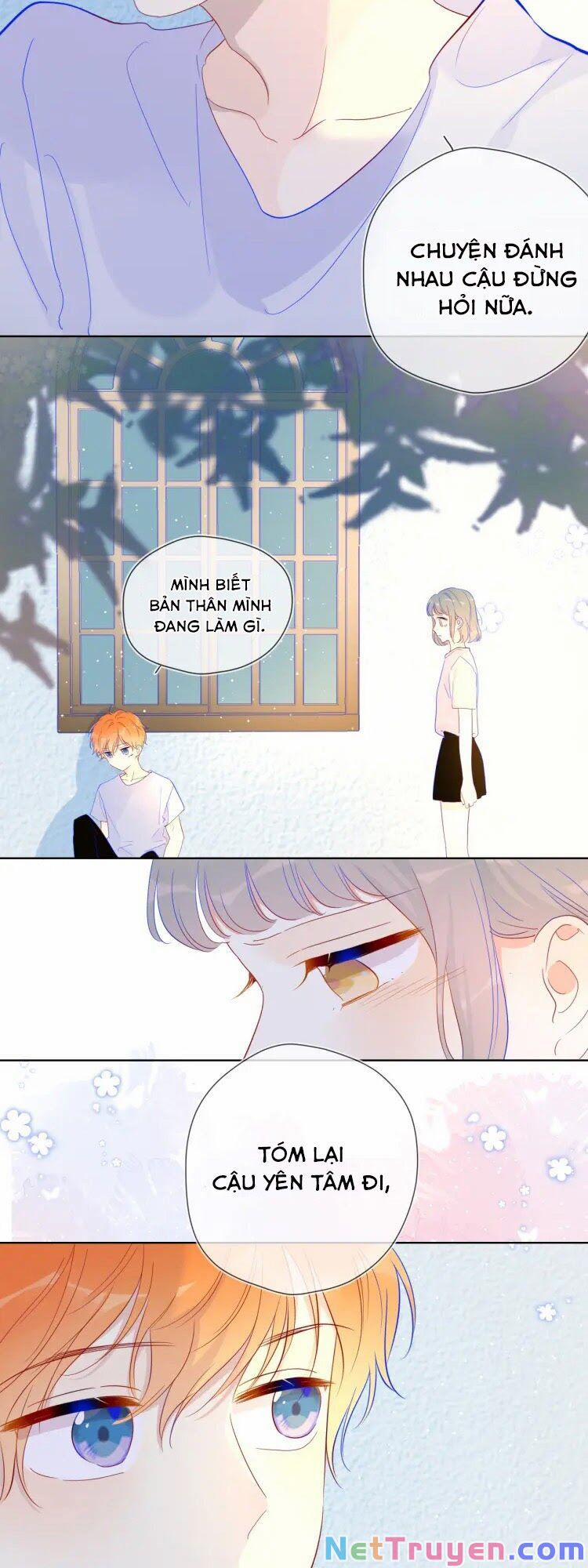 Ngôi Sao Cho Tôi 36 trang 13