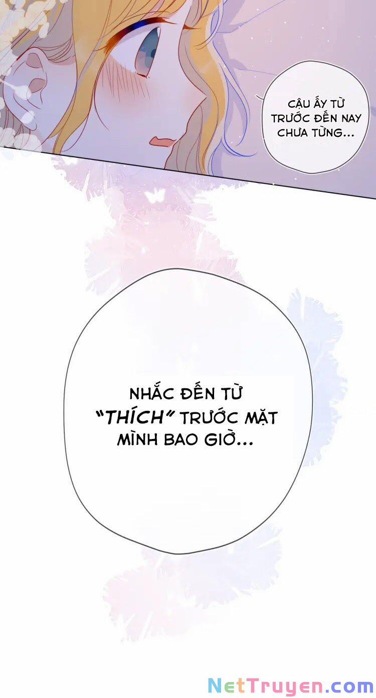 Ngôi Sao Cho Tôi 36 trang 23