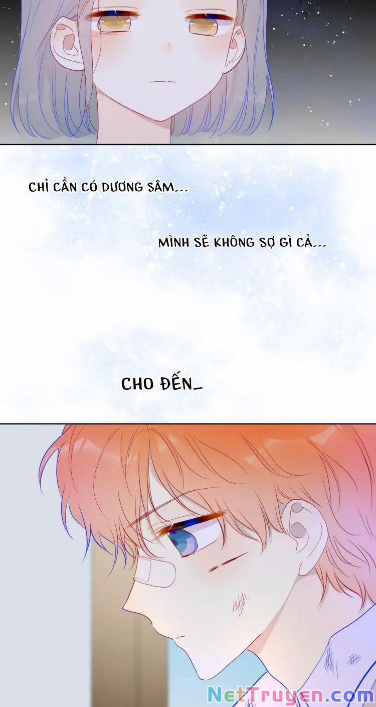 Ngôi Sao Cho Tôi 36 trang 9