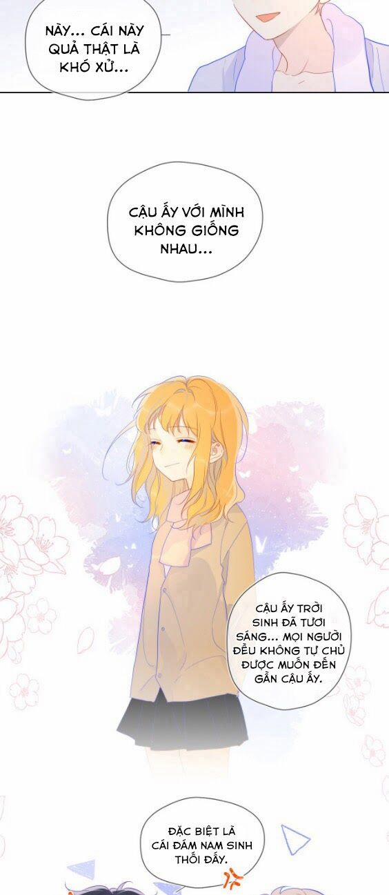 Ngôi Sao Cho Tôi 37 trang 14