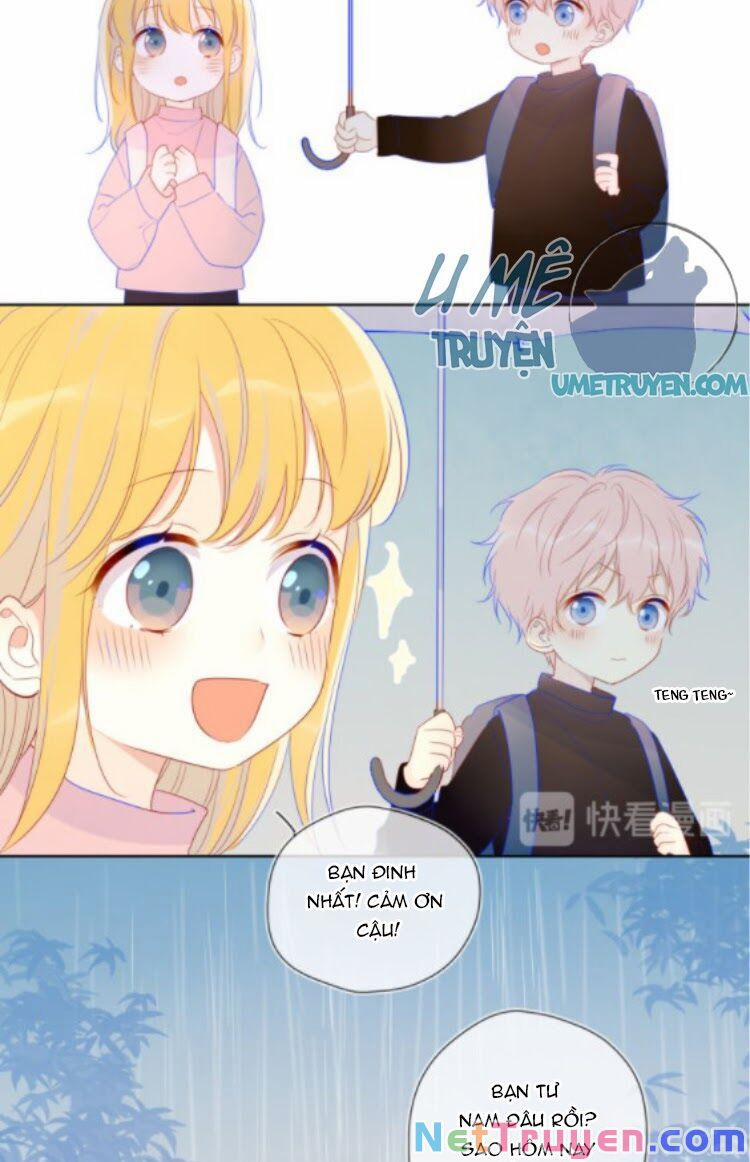 Ngôi Sao Cho Tôi 38.1 trang 13