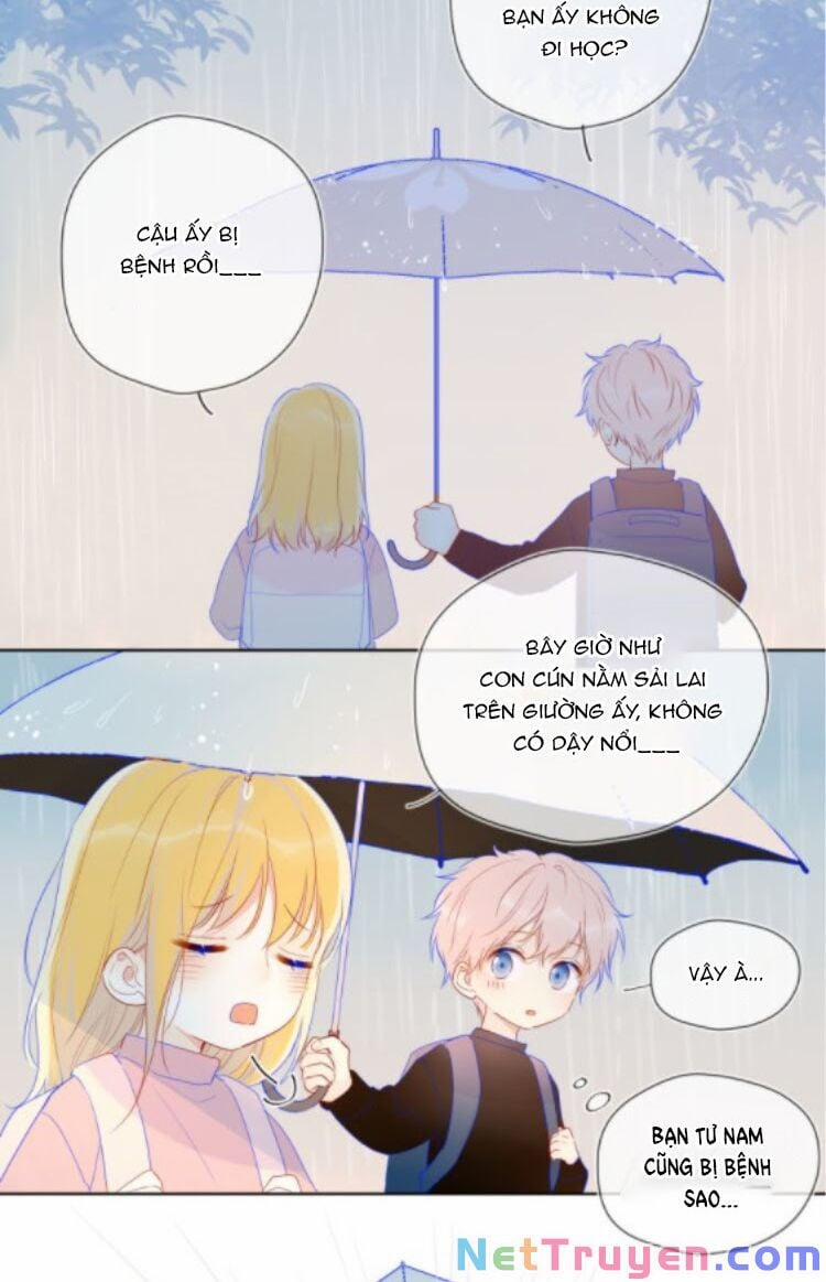 Ngôi Sao Cho Tôi 38.1 trang 14