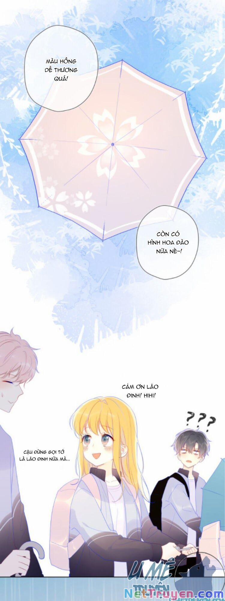 Ngôi Sao Cho Tôi 38.1 trang 8