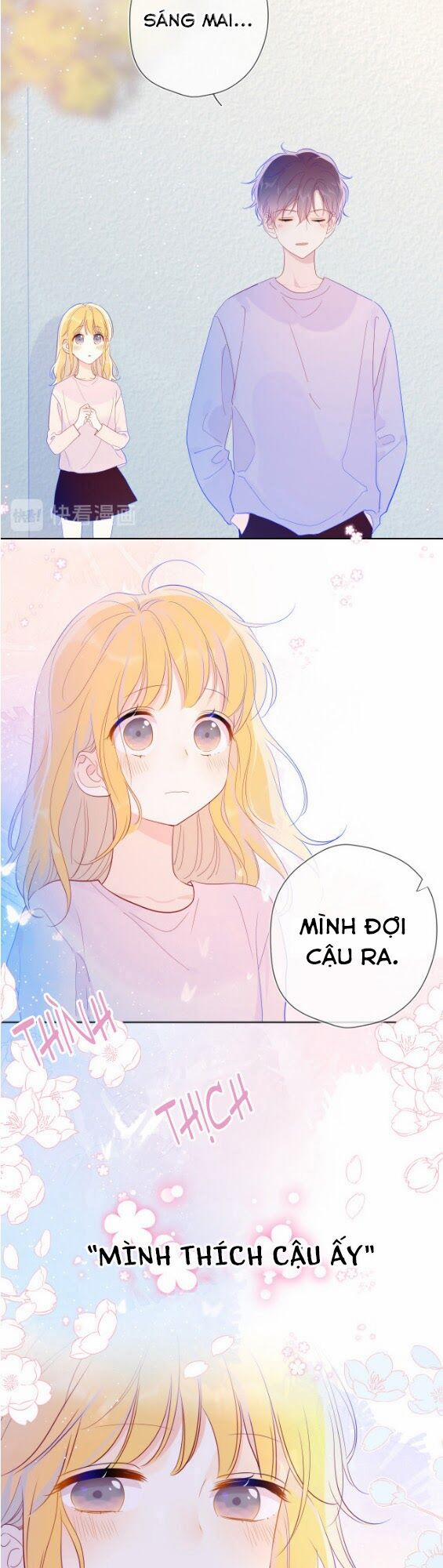 Ngôi Sao Cho Tôi 38 trang 11