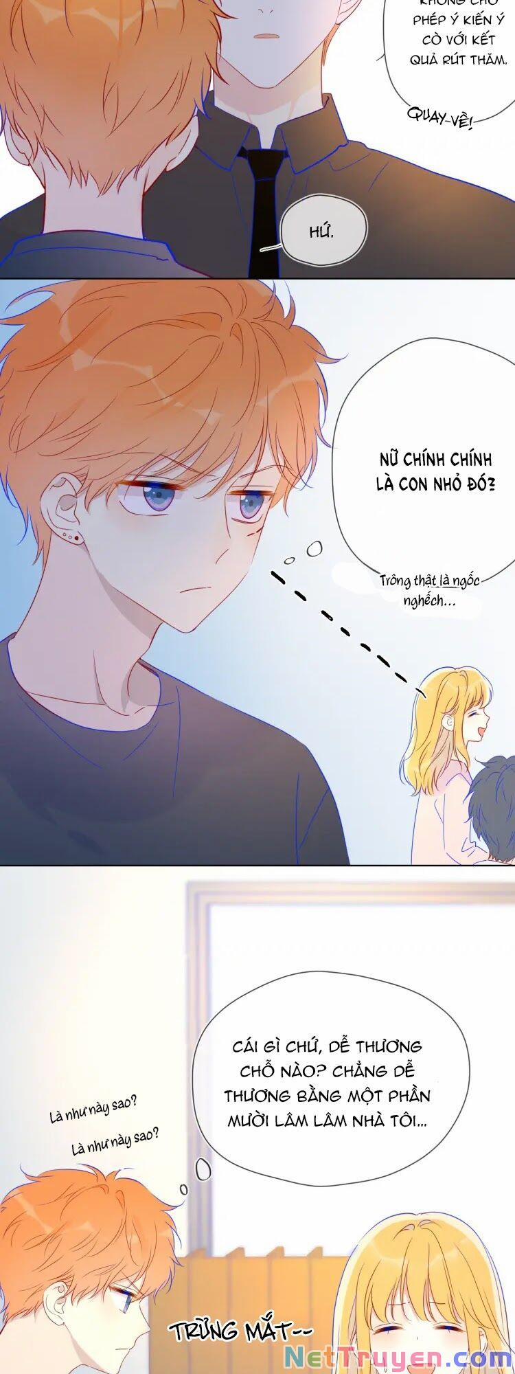 Ngôi Sao Cho Tôi 39 trang 13