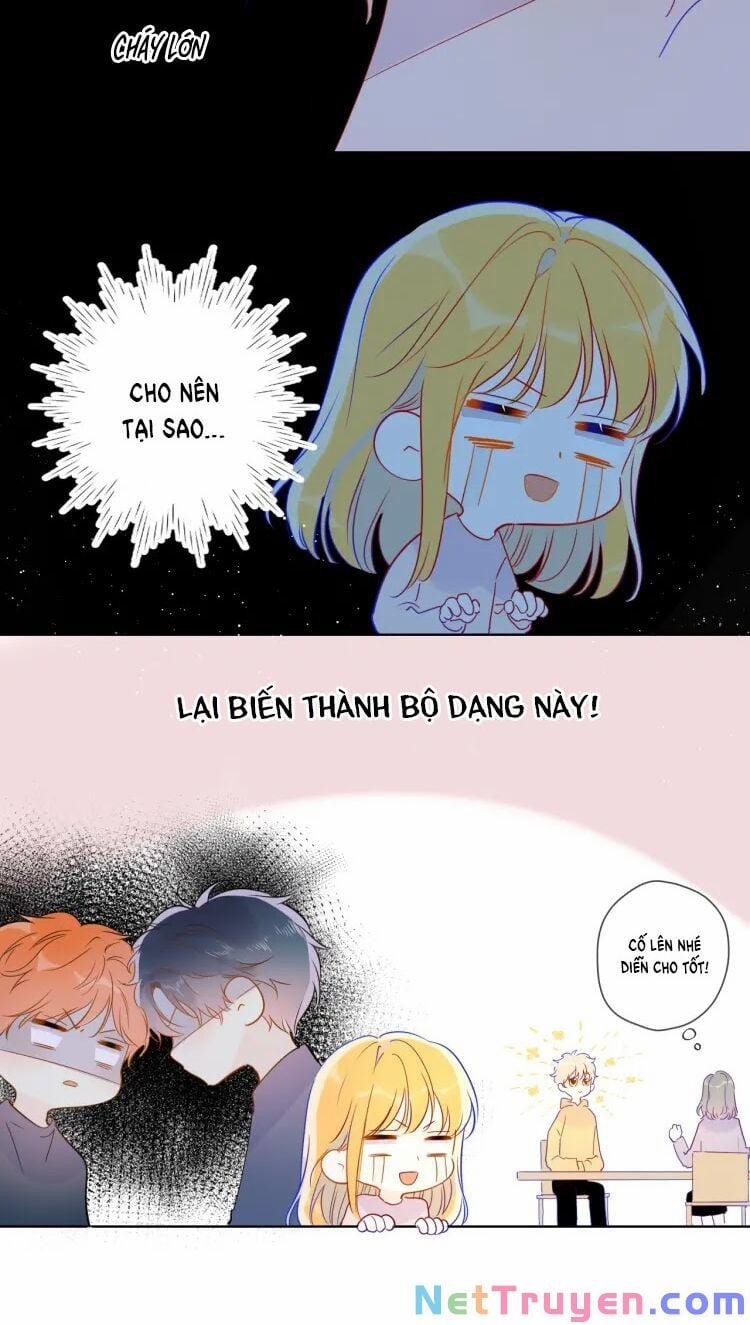 Ngôi Sao Cho Tôi 39 trang 16