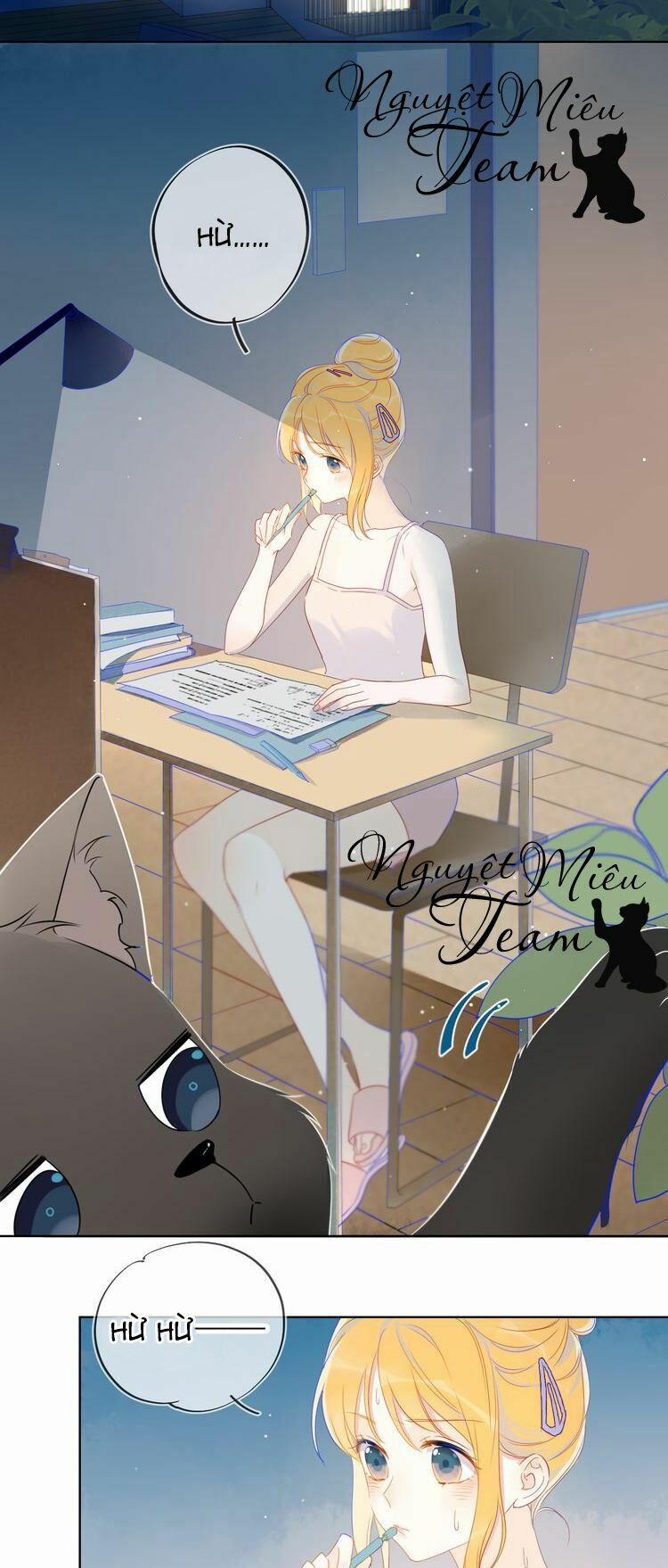 Ngôi Sao Cho Tôi 4 trang 2