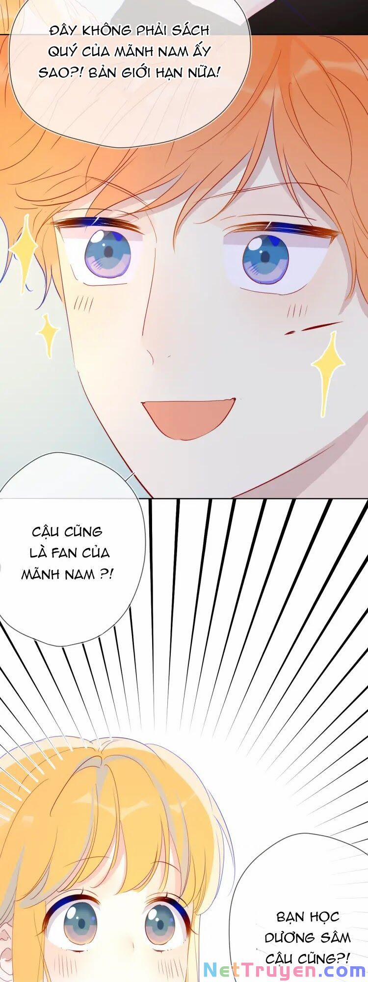 Ngôi Sao Cho Tôi 40 trang 14