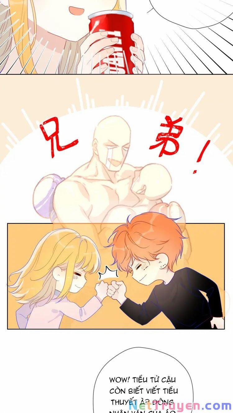 Ngôi Sao Cho Tôi 40 trang 15