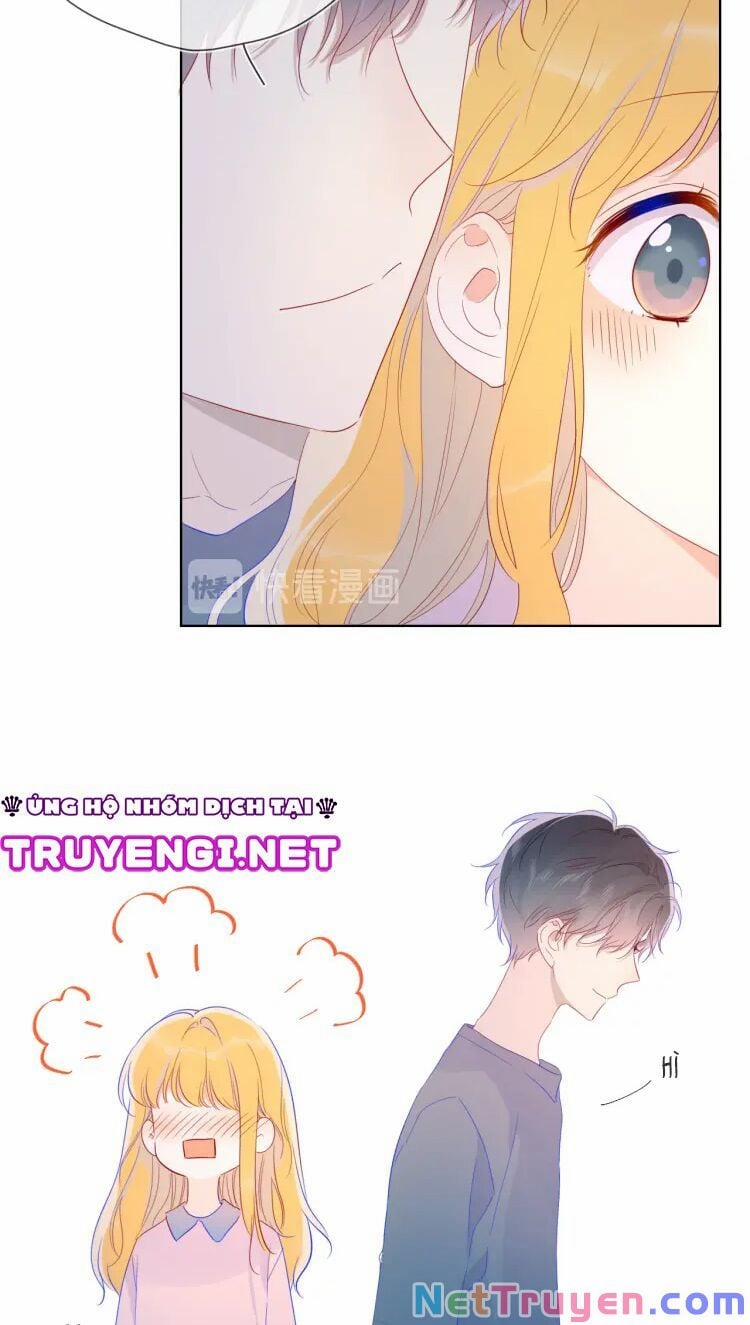 Ngôi Sao Cho Tôi 41 trang 15