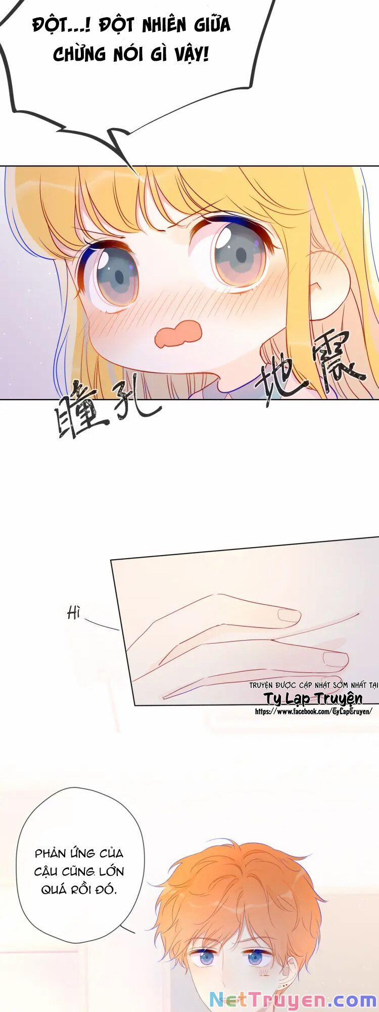 Ngôi Sao Cho Tôi 41 trang 2