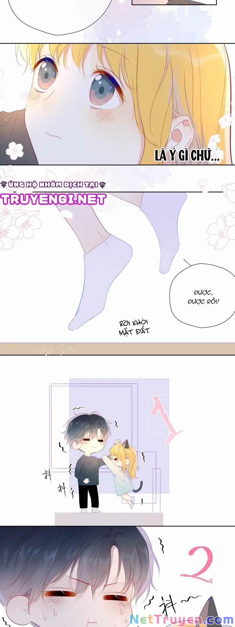 Ngôi Sao Cho Tôi 42 trang 14