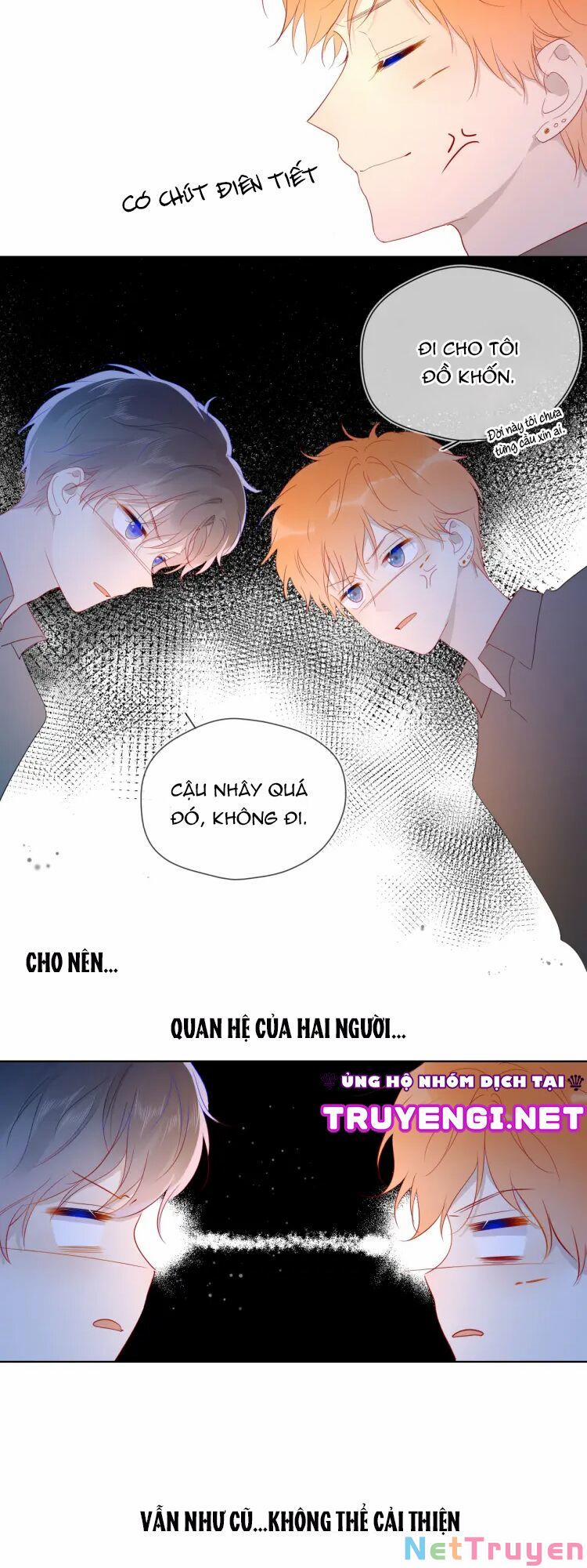 Ngôi Sao Cho Tôi 45 trang 20