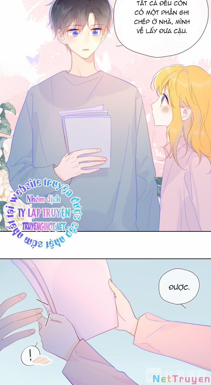 Ngôi Sao Cho Tôi 46 trang 13