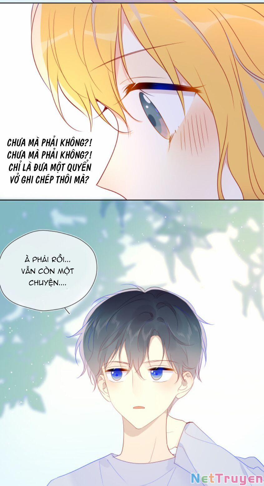 Ngôi Sao Cho Tôi 46 trang 14