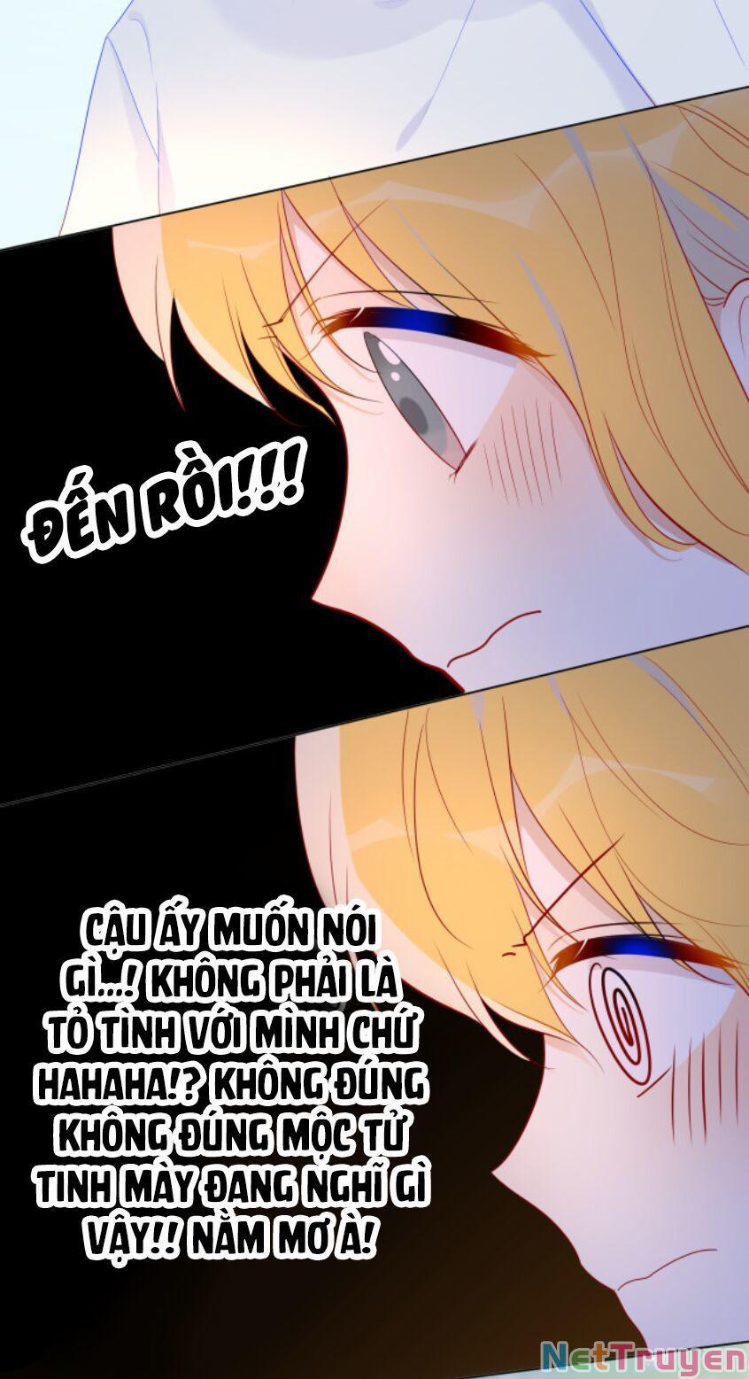 Ngôi Sao Cho Tôi 46 trang 15