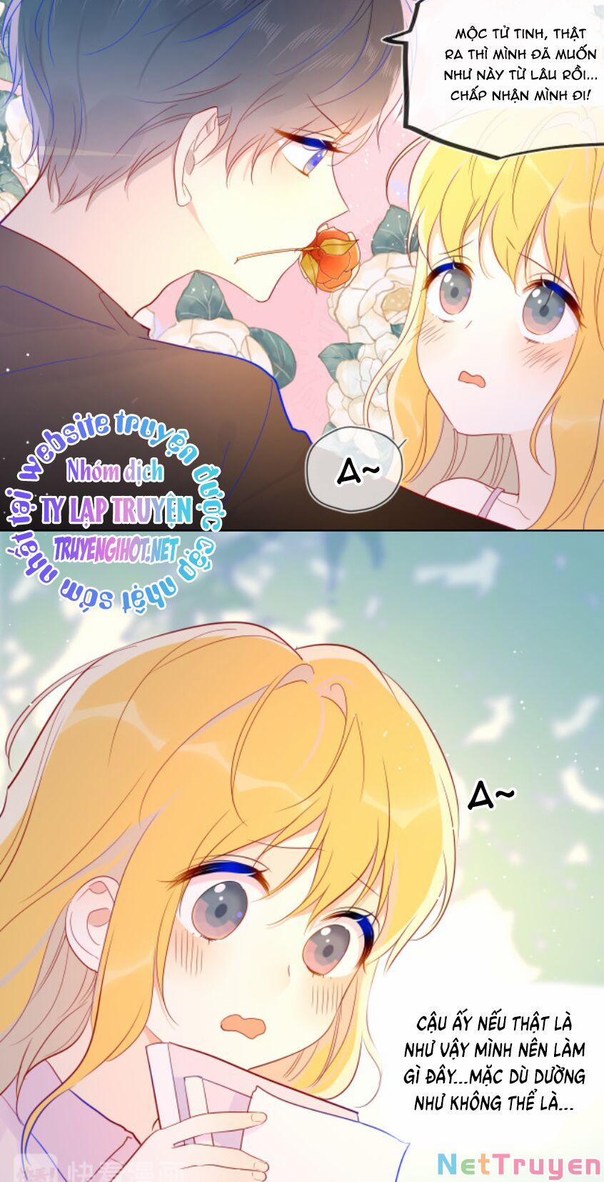 Ngôi Sao Cho Tôi 46 trang 19