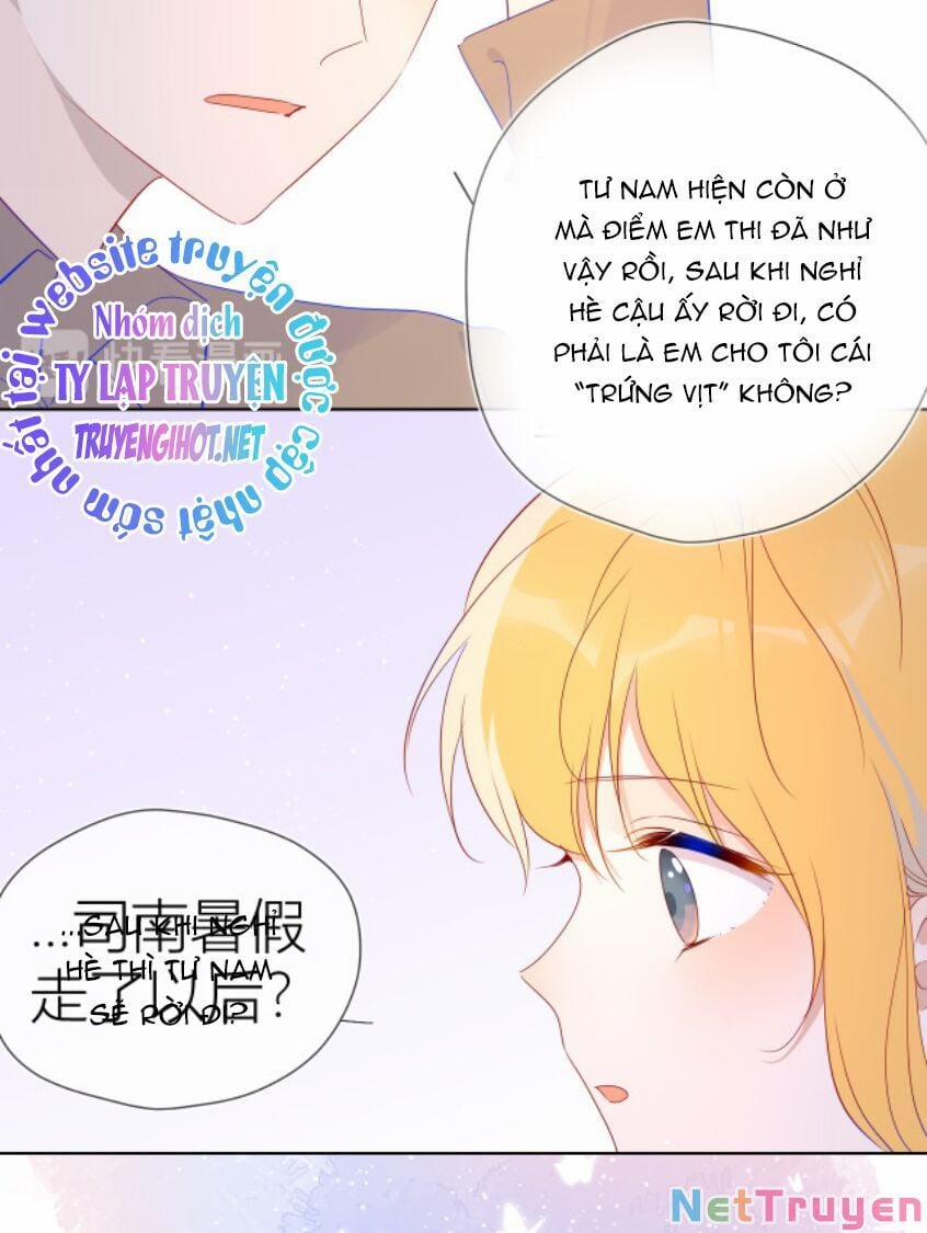 Ngôi Sao Cho Tôi 46 trang 24