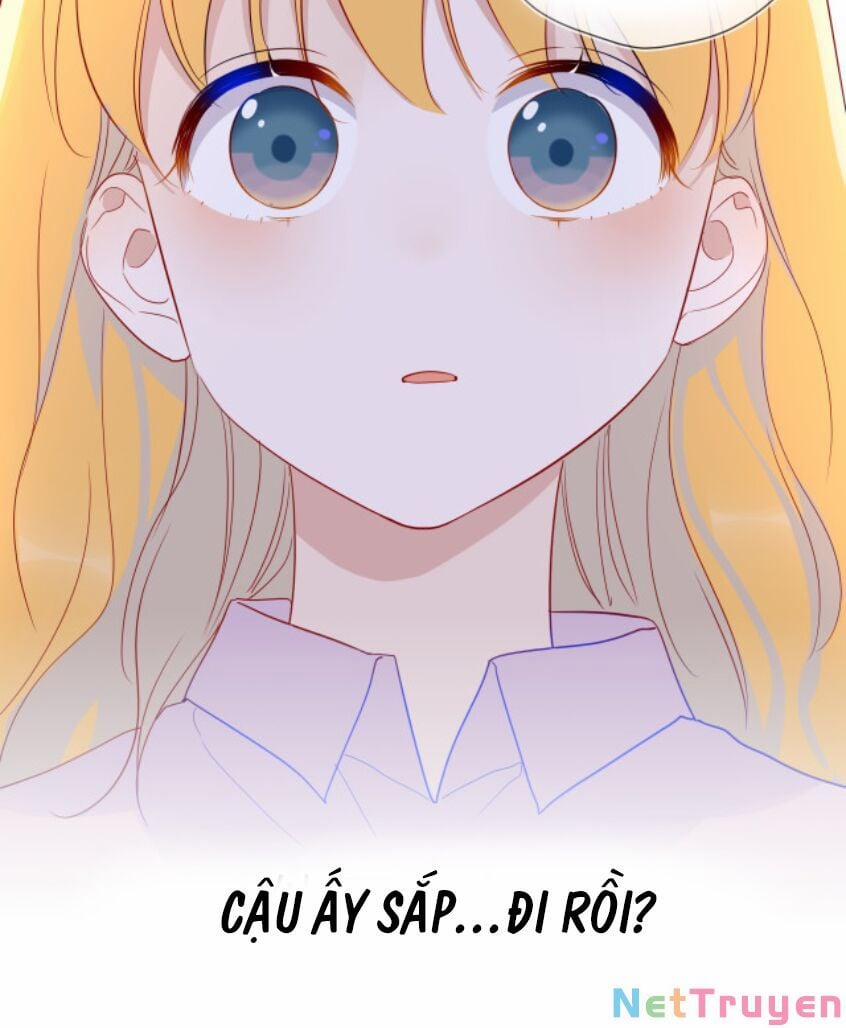 Ngôi Sao Cho Tôi 46 trang 26