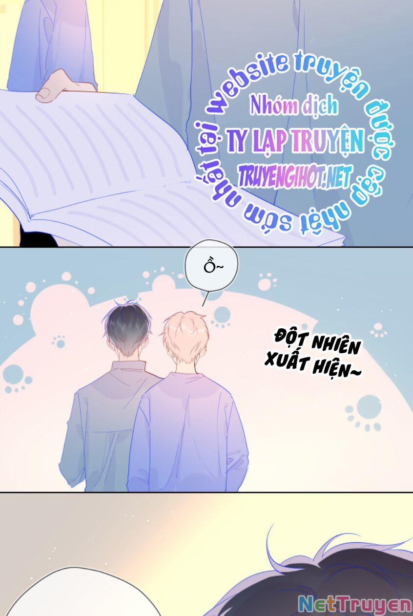 Ngôi Sao Cho Tôi 46 trang 4