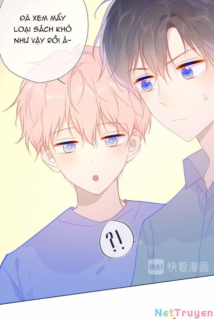 Ngôi Sao Cho Tôi 46 trang 5