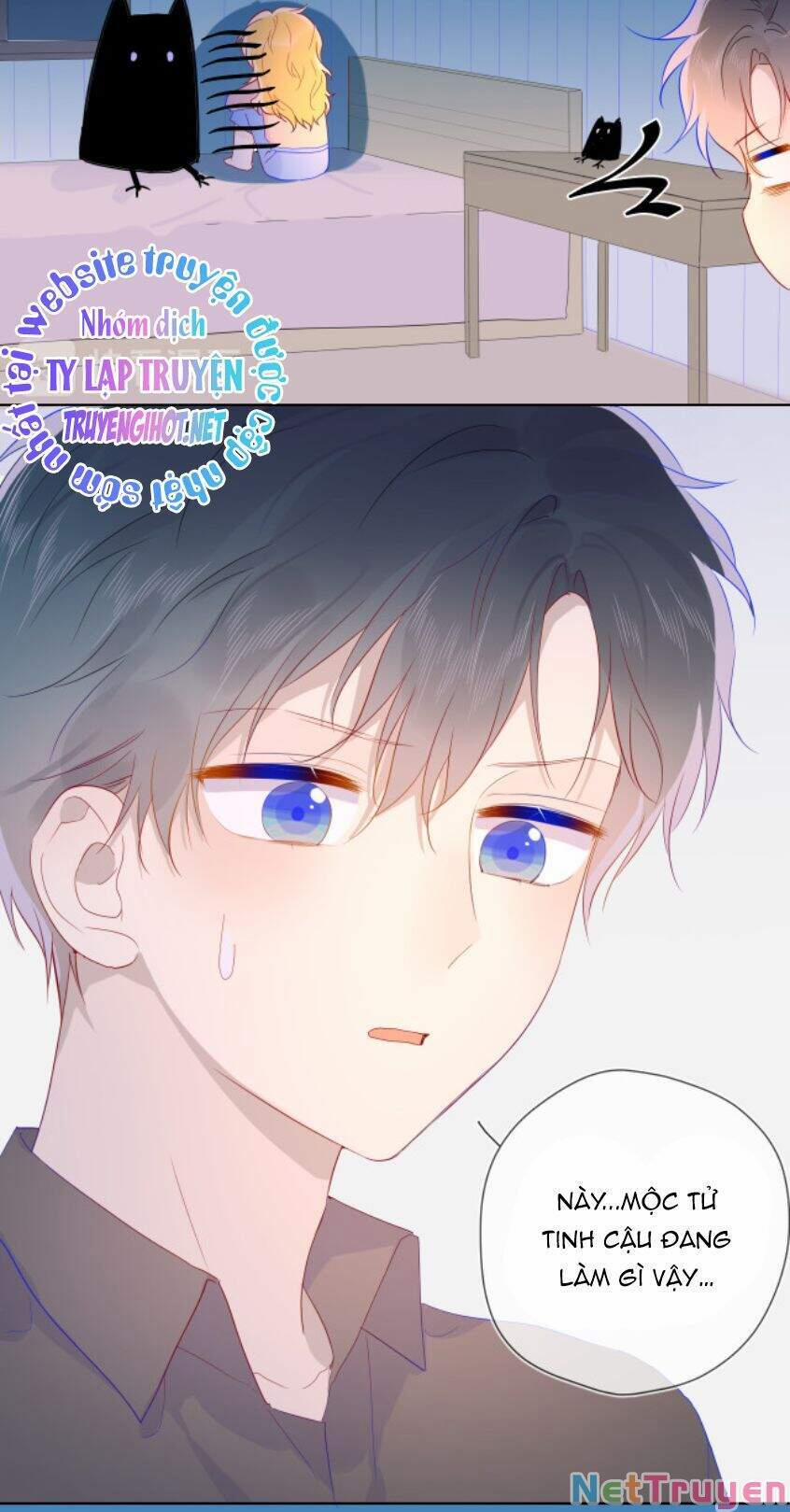 Ngôi Sao Cho Tôi 47 trang 20