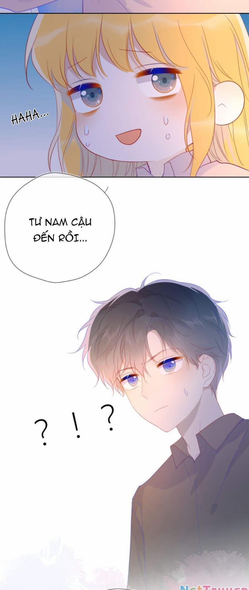 Ngôi Sao Cho Tôi 47 trang 22