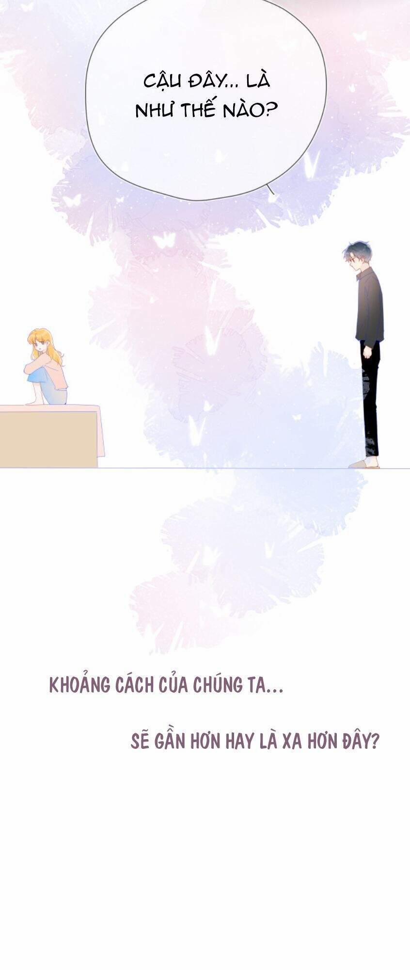 Ngôi Sao Cho Tôi 47 trang 24