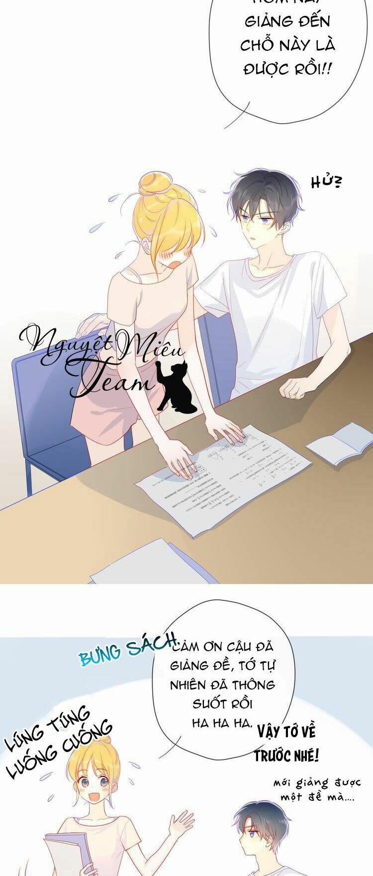 Ngôi Sao Cho Tôi 5 trang 7